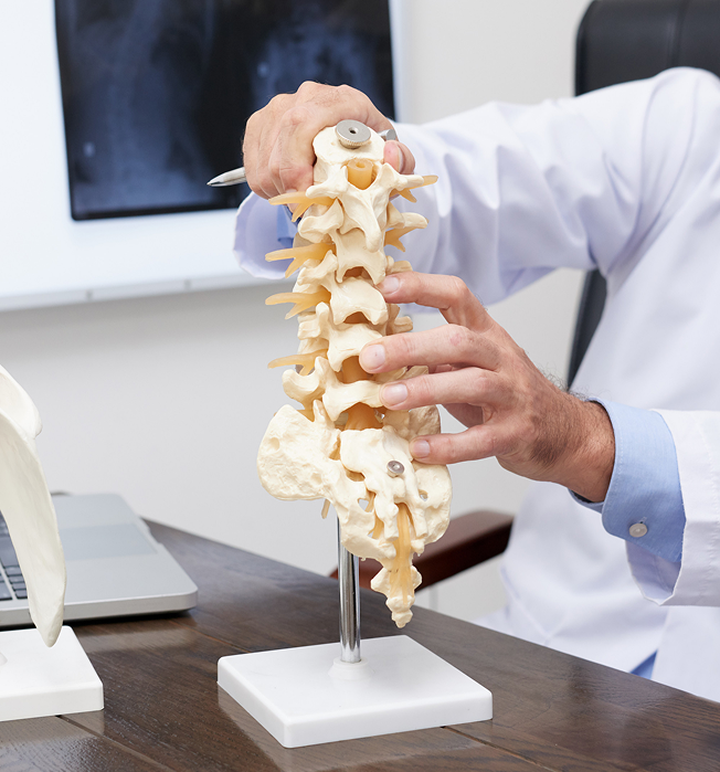 Spine Surgery